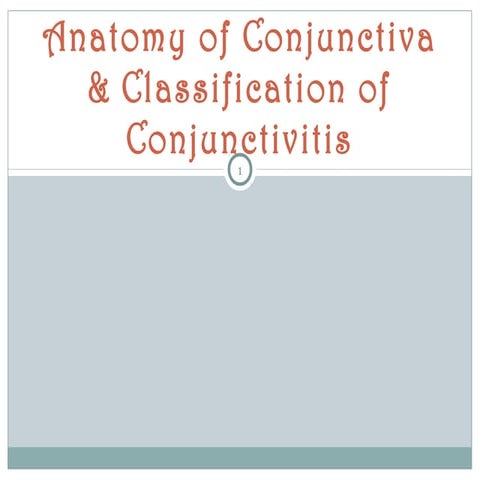 Conjuctiva