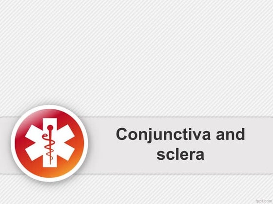 Conjunctiva | PPT