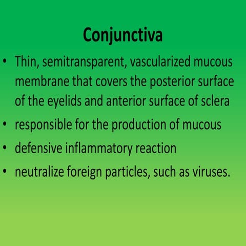 Conjunctiva  tear film