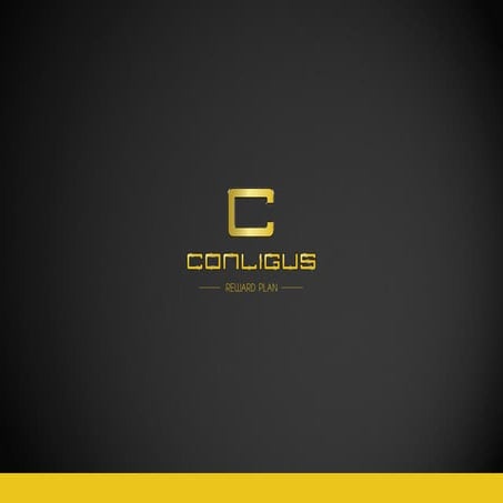 Conligus english slide 3.0