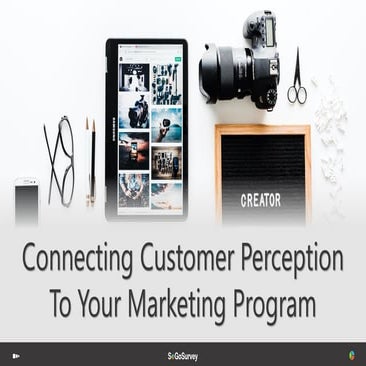 Connecting Customer Perception to Your Marketing Program | SoGoSurvey