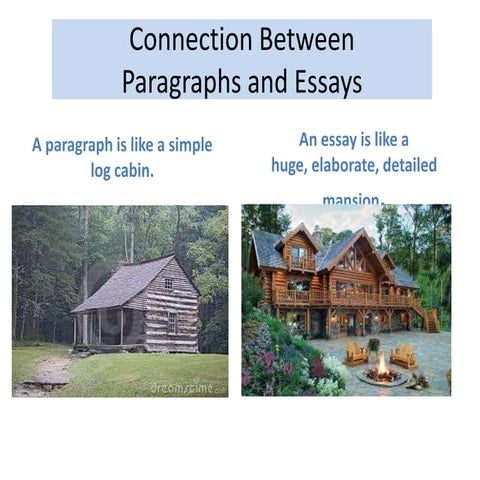 Connection Between Paragraph and Essay