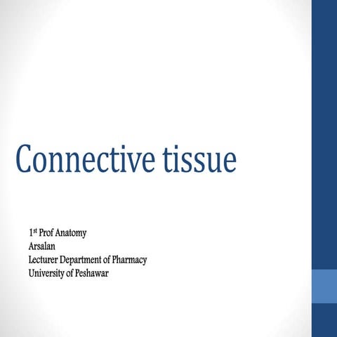 Connective tissues
