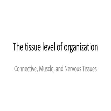 Connective,  muscle and nervous tissues