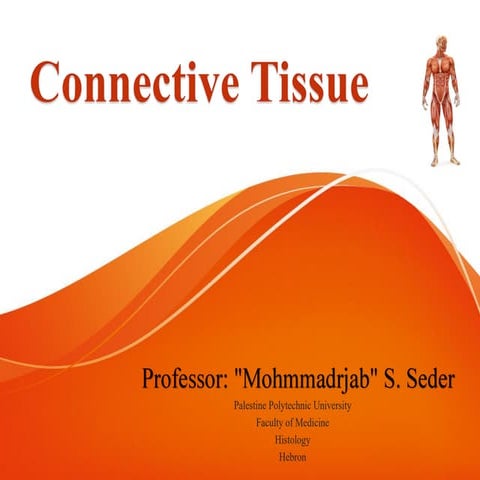 Connective tissue