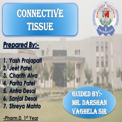 Connective tissue