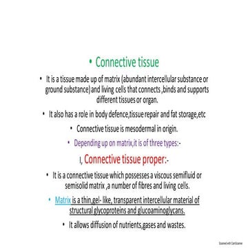 Supportive connective tissue | PDF
