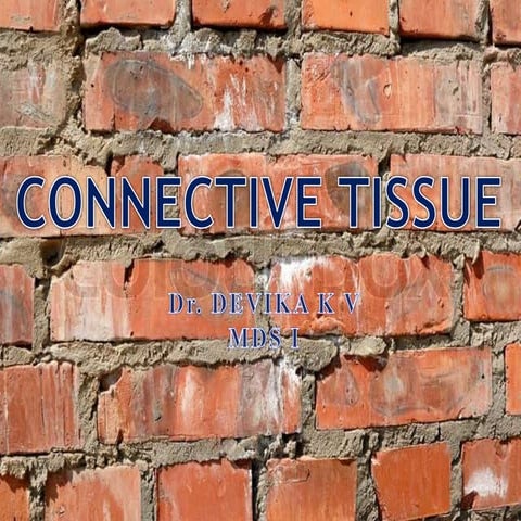 Connective tissue