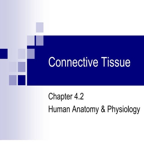 Connective_tissue.pptx