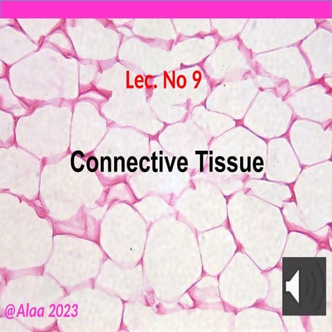 Comprehensive Overview of Connective Tissue Structure and Function in ...