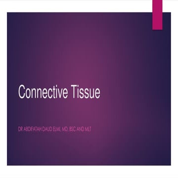 connective tissue.pptx