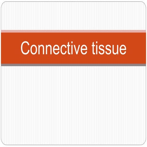 Connective Tissue1 Pptx