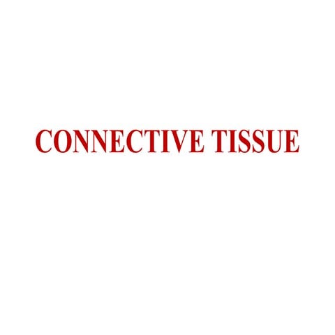 Connective tissue 