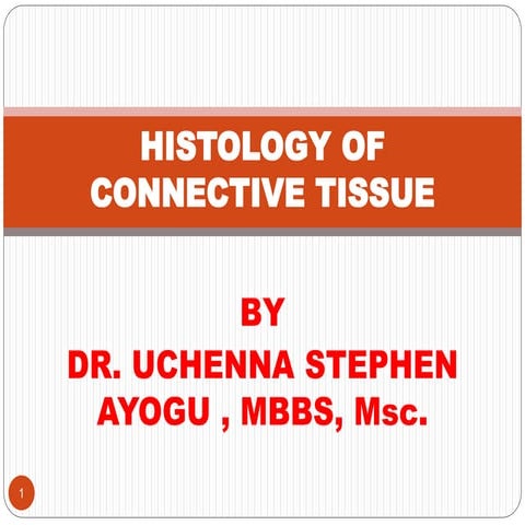 HISTOLOGY OF CONNECTIVE TISSUE IN ANATOMY