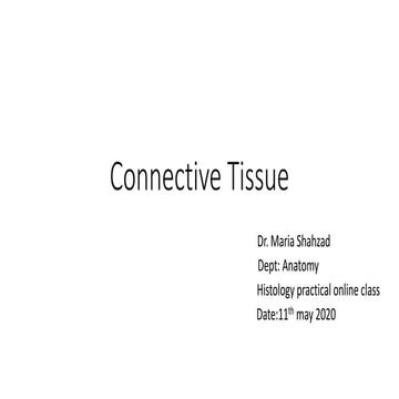 Connective tissue 