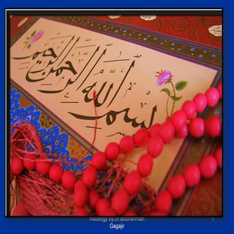 Connective tissue presentation lesson.ppt