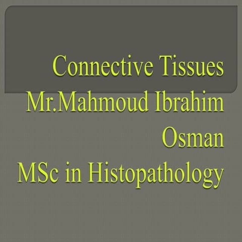 Connective tissues 