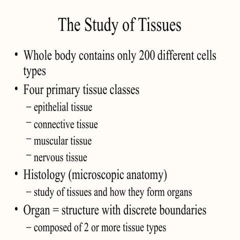 Histology of basic tissues (Connective tissues).pptx