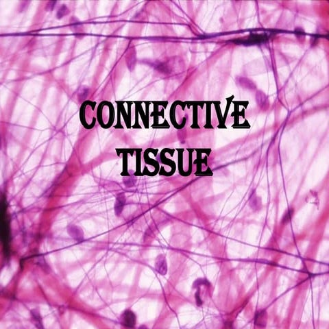 Connective tissue slides