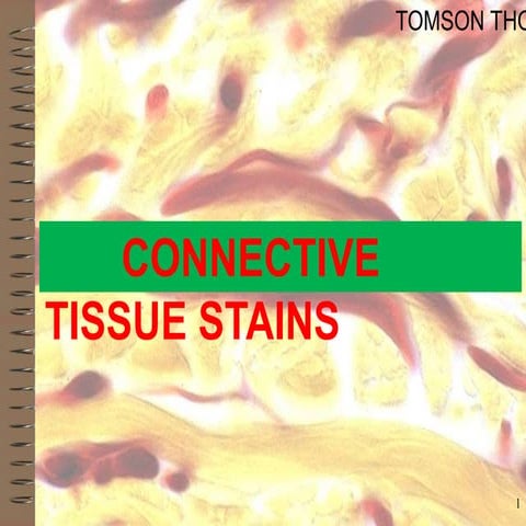 CONNECTIVE TISSUE STAINS