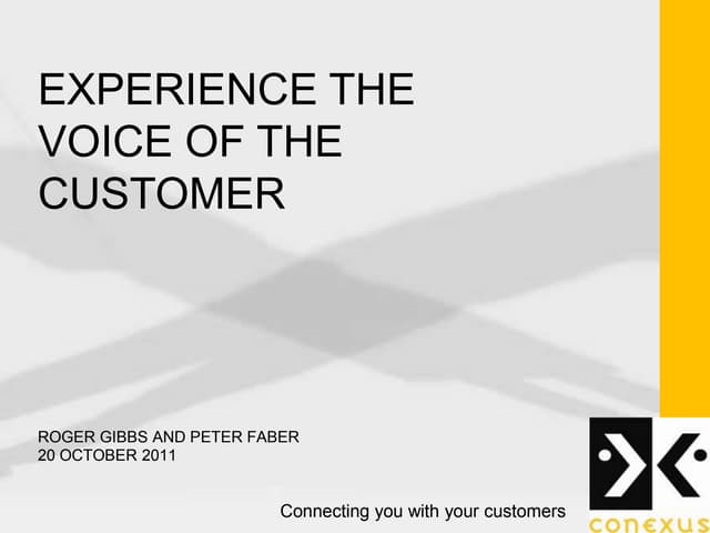 Experience the Voice of the Customer