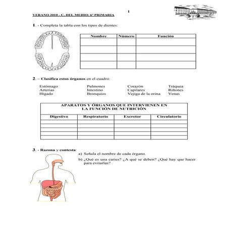 Cono 6-fichas repaso