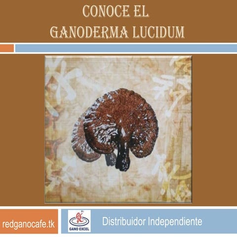 Conoce el Ganoderma Lucidum