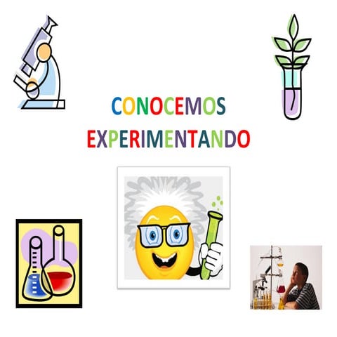 Conocemos Experimentando | PPT