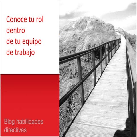 Conoce tu rol dentro de tu equipo de trabajo