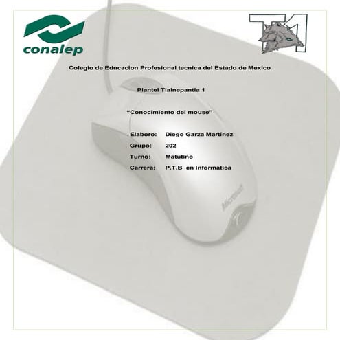 Conocimiento del mouse correccion