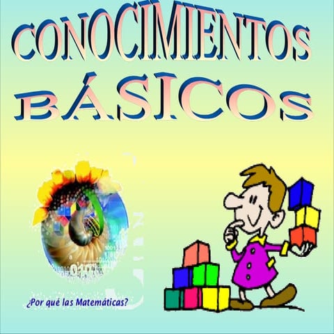 Conocimientos básicos lineamientos curriculares