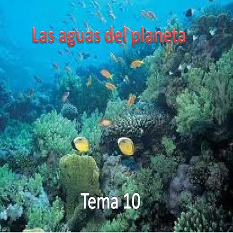 Conocimiento tema 10 Teresa  Pérez 