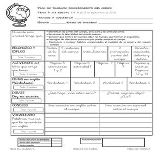 PLAN DE TRABAJO Conocimiento del me...