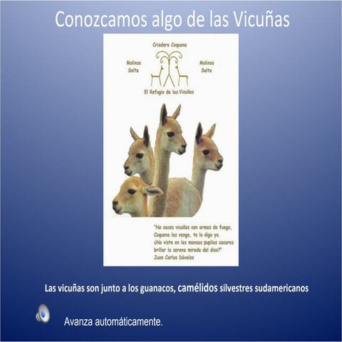 Conozcamos La Vicuña