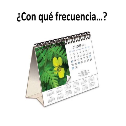 Con qué frecuencia