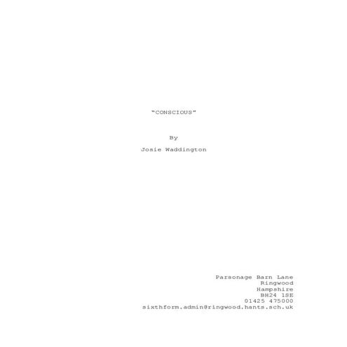 Conscious script draft 2