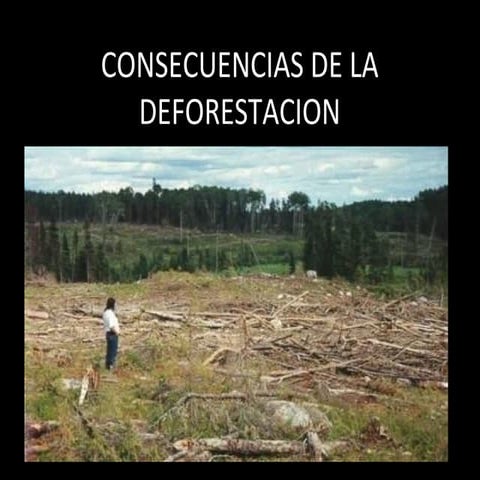 Consecuencias de la deforestacion
