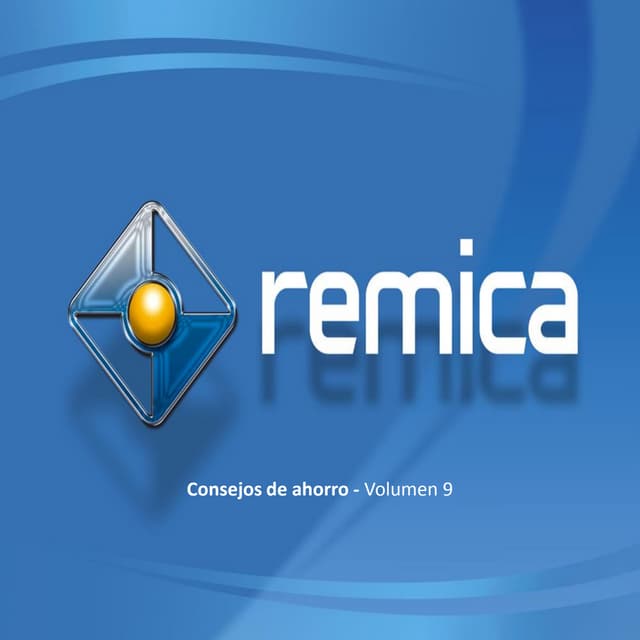 Dossier Grupo Remica | PDF