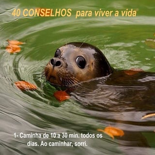 Conselhos Para Viver A Vida