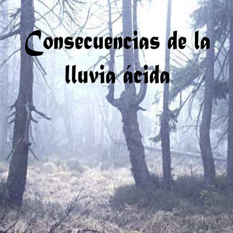 Consecuencias de la lluvia ácida