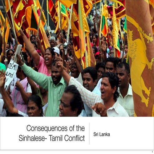 Consequences of conflict  pdf