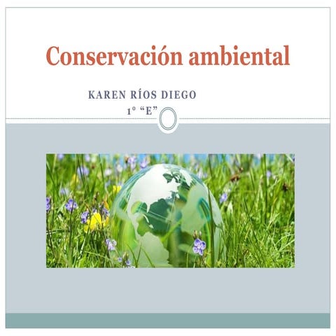 Conservación ambiental