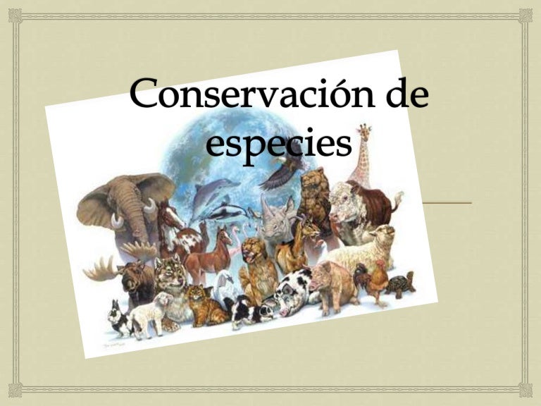 Conservación de especies