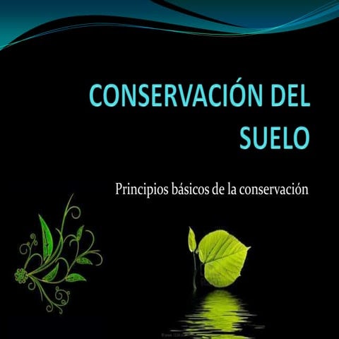 Conservación del suelo