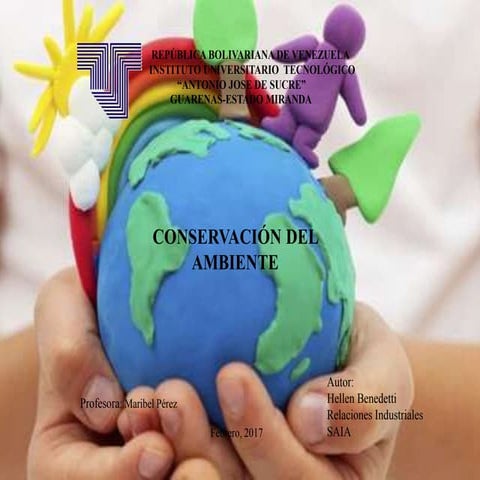 Mapa conceptual. Conservación del  Ambiente 