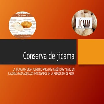 Conserva de jicama diapositivas