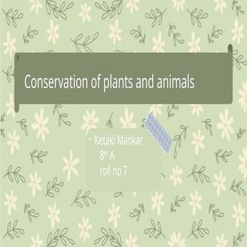 conservation of plants and animals cbse.pptx