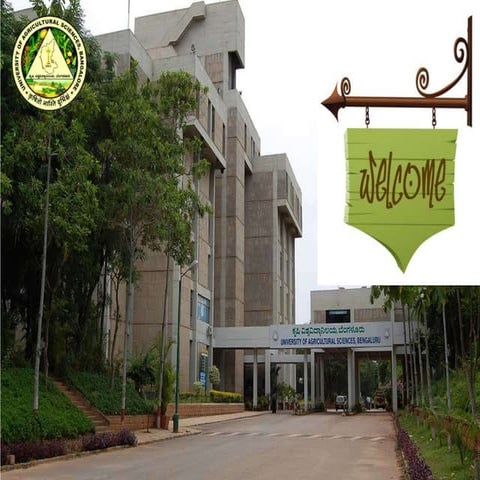 Conservation agriculture