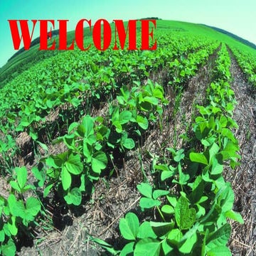 Conservation agriculture the future of crop