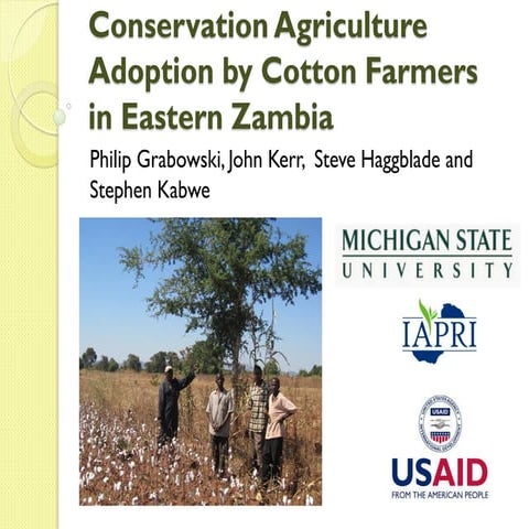 Conservation agriculture adoption by cotton farmers in eastern zambia